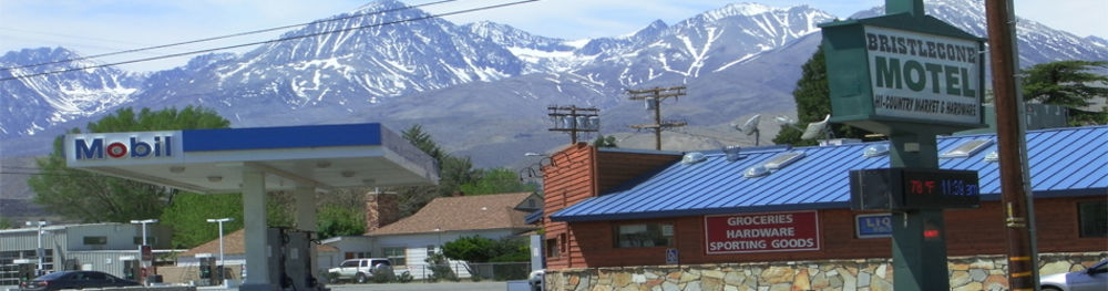 Bristlecone Motel Big Pine Kültér fotó